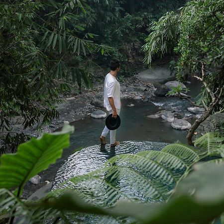 ホテル Suenyo Eco Retreat Selemadeg エクステリア 写真